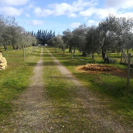 Finca Casa Halcon Almonte Eksteriør bilde