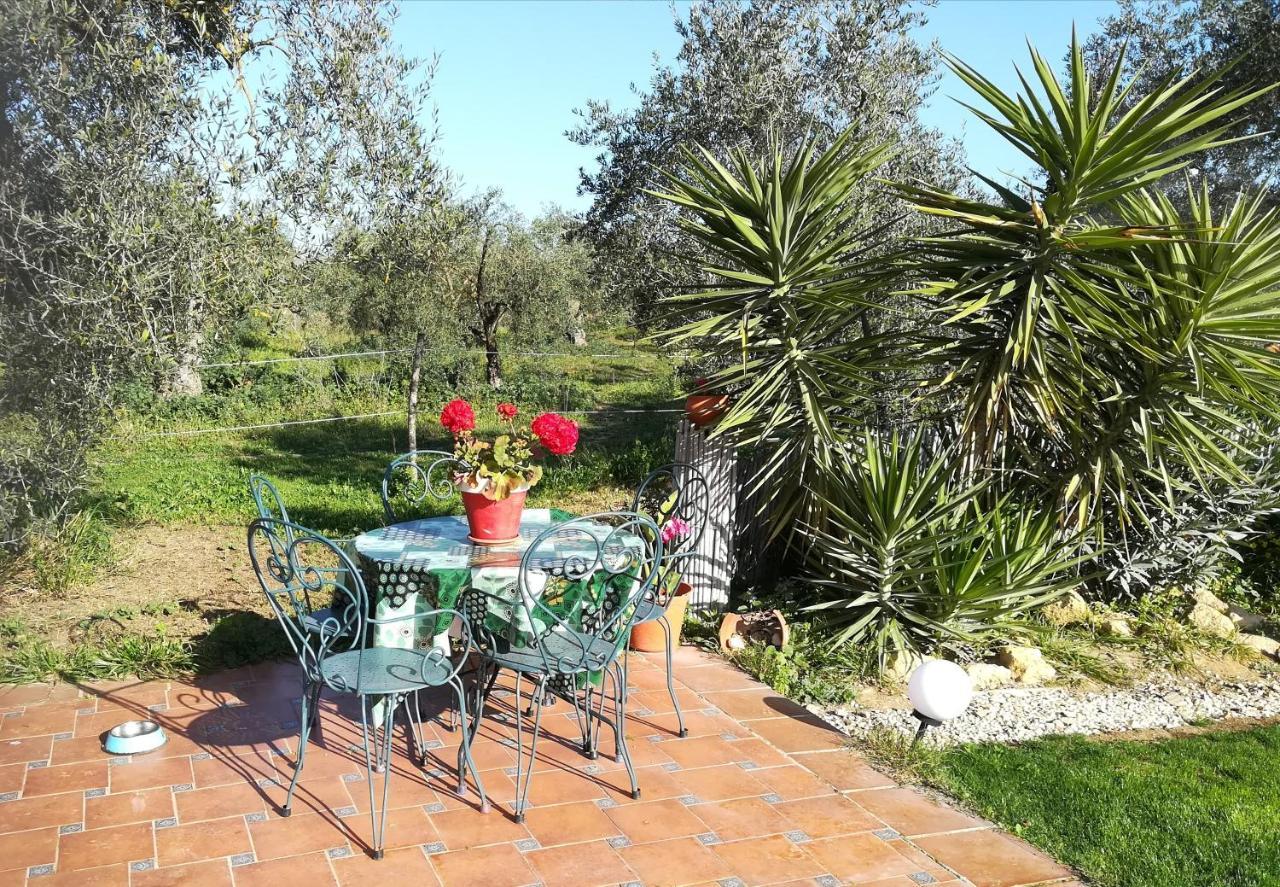 Finca Casa Halcon Almonte Eksteriør bilde
