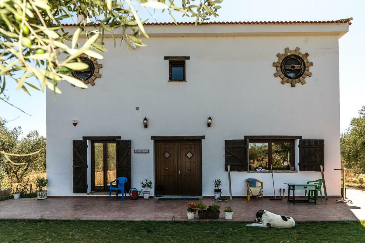 Finca Casa Halcon Almonte Eksteriør bilde